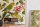 The Wall Wallpaper 7-teilig 3,71 m x 2,80 m