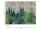 The Wall Wallpaper 7-teilig 3,71 m x 2,80 m