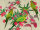 The Wall Wallpaper 7-teilig 3,71 m x 2,80 m