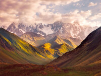 The Wall Wallpaper 7-teilig 3,71 m x 2,80 m