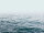 The Wall Wallpaper 7-teilig 3,71 m x 2,80 m