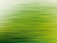 The Wall Wallpaper 7-teilig 3,71 m x 2,80 m