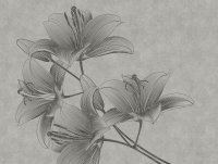 The Wall Wallpaper 7-teilig 3,71 m x 2,80 m