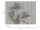 The Wall Wallpaper 7-teilig 3,71 m x 2,80 m