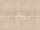 The Wall Wallpaper 7-teilig 3,71 m x 2,80 m