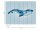 The Wall Wallpaper 7-teilig 3,71 m x 2,80 m