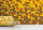 The Wall II Panel 3-teilig 2,80 m x 1,59 m