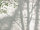 THE WALL III Wallpaper 7-teilig 3,71 m x 2,80 m