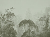 THE WALL III Wallpaper 7-teilig 3,71 m x 2,80 m