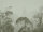 THE WALL III Wallpaper 7-teilig 3,71 m x 2,80 m