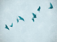 THE WALL III Wallpaper 7-teilig 3,71 m x 2,80 m