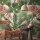 Wallpanel Metropolitan Stories Travel Styles Lea Bali