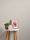 Tapete Famous Garden Uni horizontal