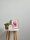 Tapete Famous Garden Uni horizontal