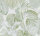 Tapete Famous Garden Jungle Leaves