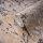 Tapete Stories of Life