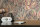 Tapete Stories of Life