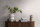 Tapete Pure Elegance