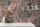 PintWalls II Tapeten