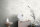 Michalsky Tapeten