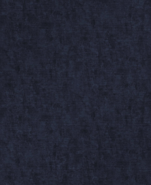 Organdy Silk Midnight