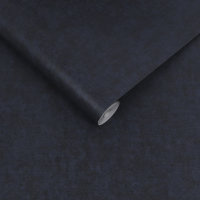 Organdy Silk Midnight
