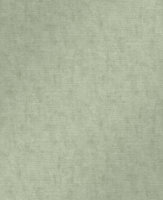 Organdy Silk Sage