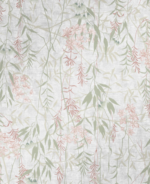 Obassia Silk Dawn