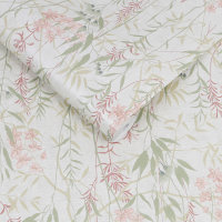 Obassia Silk Dawn