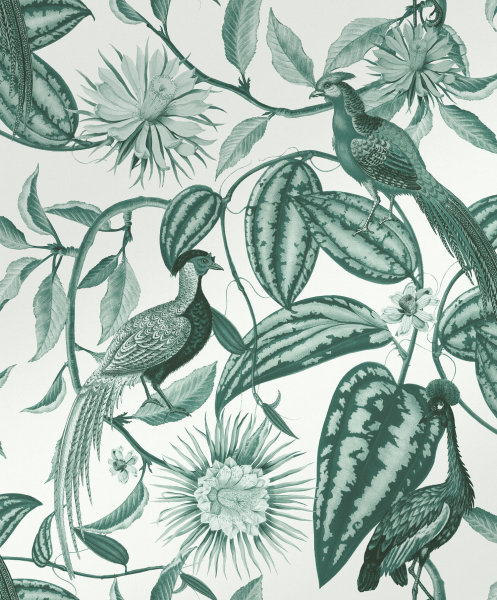 Amhersts Garden Teal