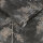 Norse Forest Bark