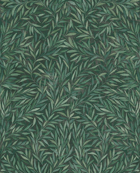 Salix Leaves Green