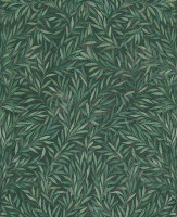 Salix Leaves Green