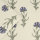 Dandelion Wallpaper
