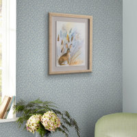 Sweet Alyssum Wallpaper