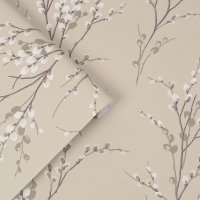 Pussy Willow