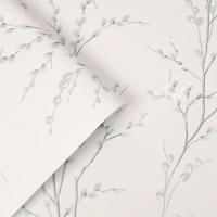 Pussy Willow