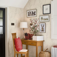 Pussy Willow