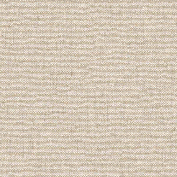 Exclusive Threads Plain Biscuit