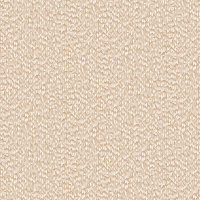 Exclusive Threads Textured Weave Plain Biscuit