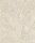 Tropical Palm Leaf Beige