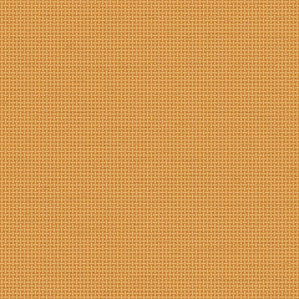 Tapestry Weave plain Orange