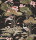 Lotus Pond Chocolate