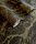 Portoro Marble Charcoal Gold