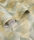 Artistry Green Beige
