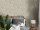Pluma Neutral
