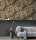 Cassia Taupe