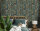 Cassia Aqua