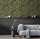 Cassia Green