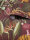 Reverie Burgundy